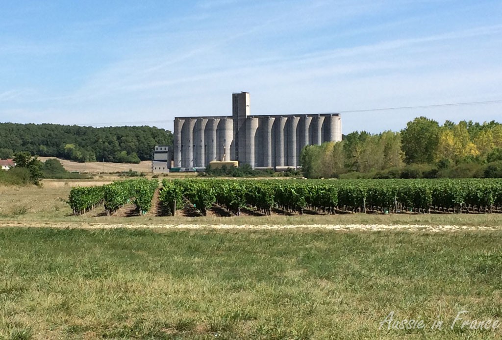 An enormous grain silo with a vineyard in front