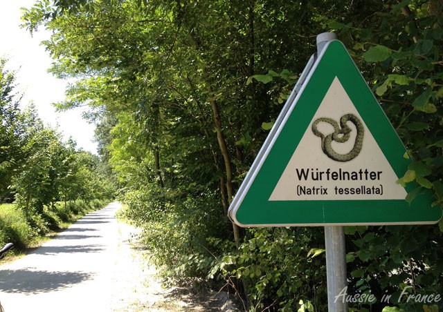 Watch out for snakes on the bike path, particularly this one. I wasn't game to put my feet down.