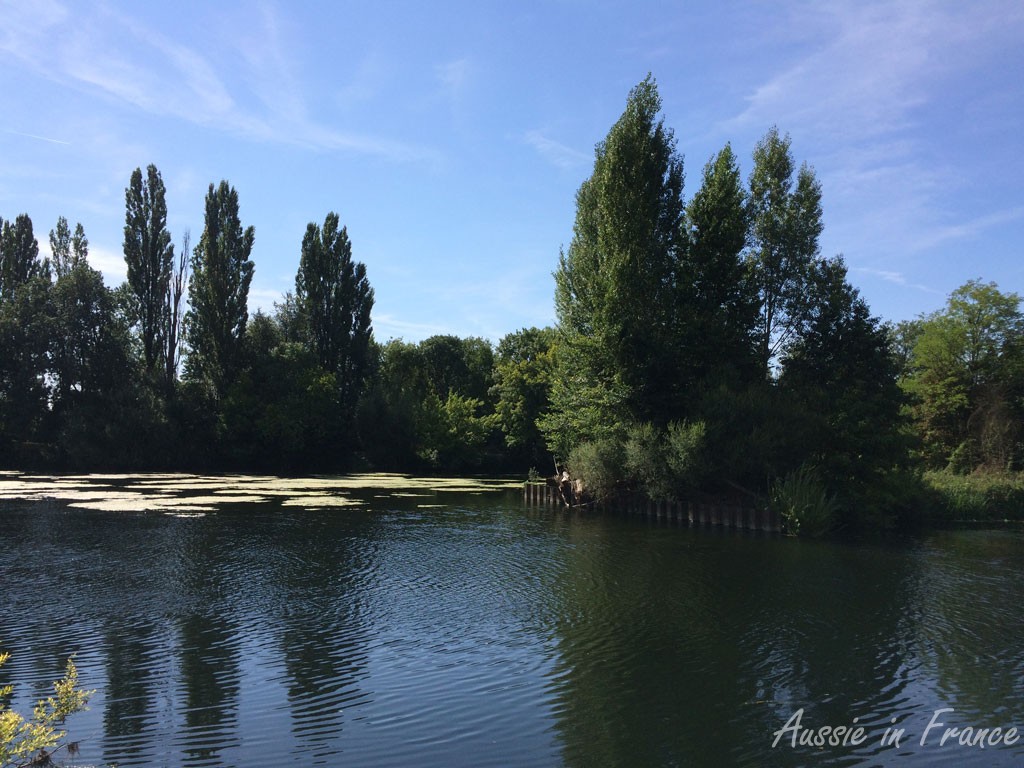 The Cher along the bike path leaving Montrichard