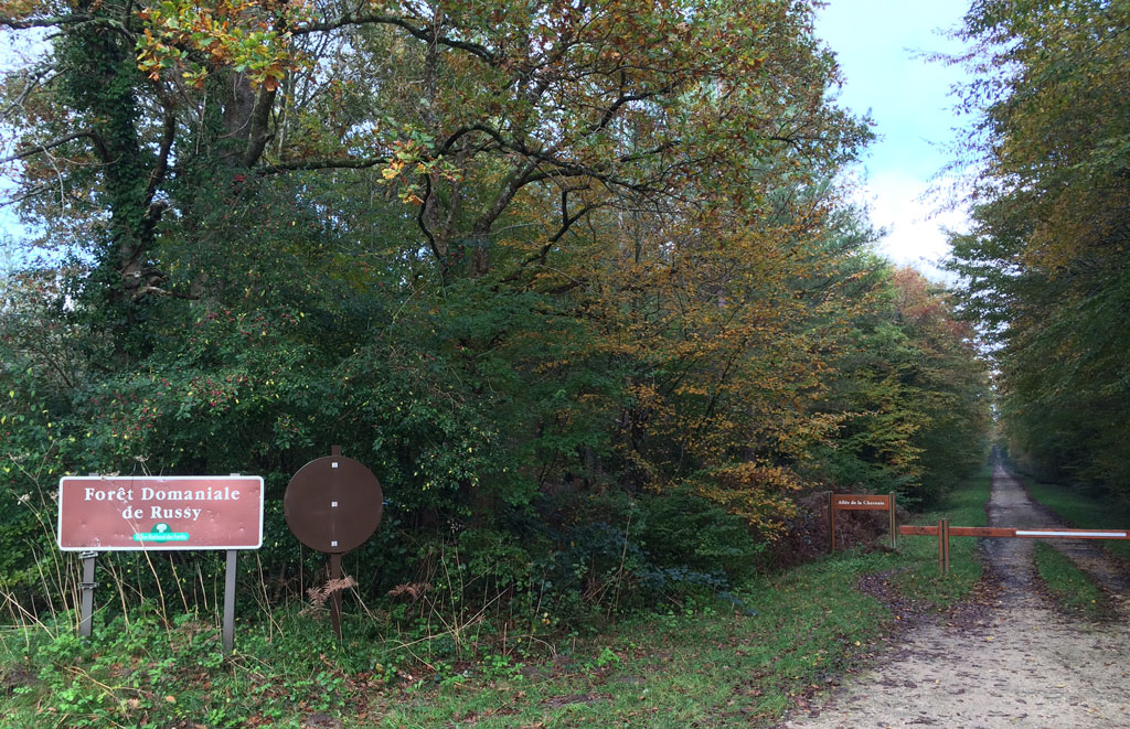 State forest or forêt domaniale where foraging is allowed