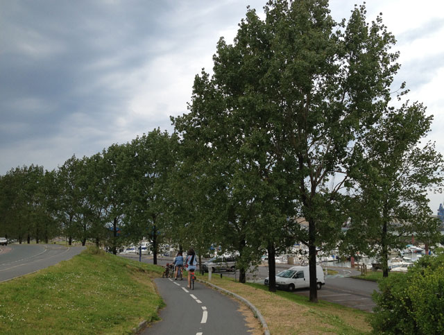 Storm brewing on the cycle path