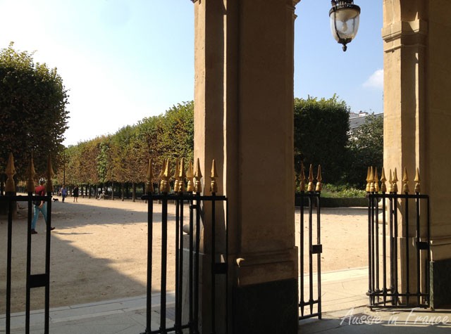 Fine and sunny in the Palais Royal gardens