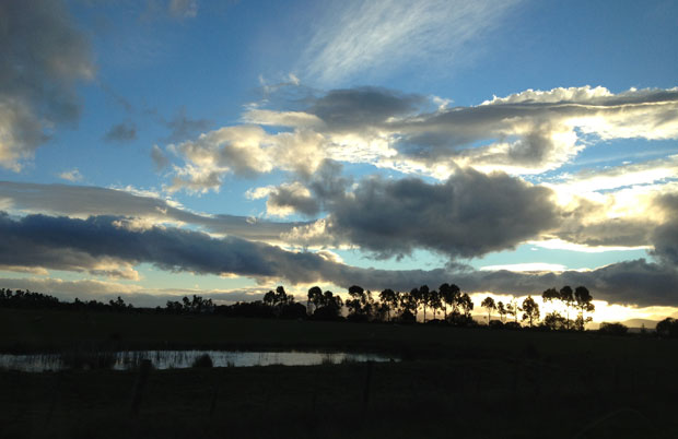 sunset