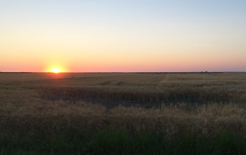 Sunset over the dry marshland