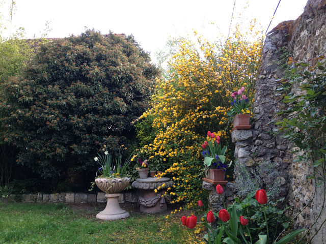 Tea break in the garden