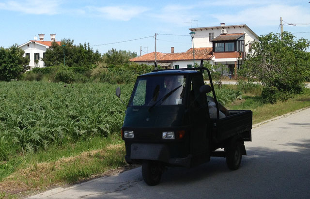 Three-wheeled pick-up next to an artichoke field on Erasmo