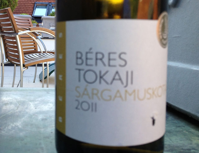 Hungarian tojaji
