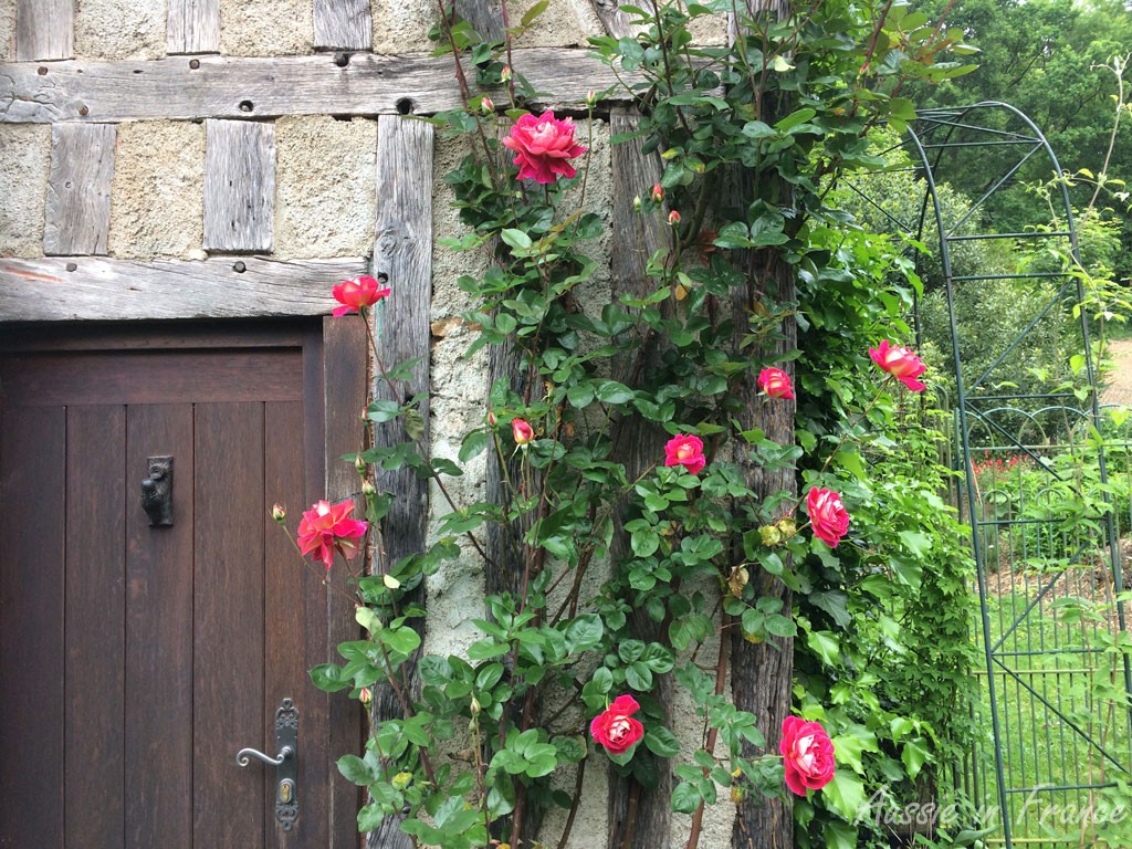 tower_roses
