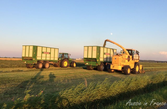 Tractors involved in the biomass process