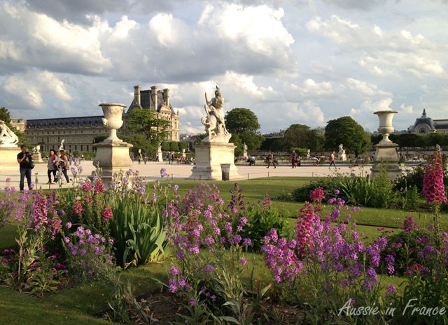 Flower in the Tuileries Gardens with a cloudy sky