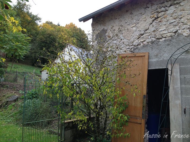 The side of the barn with the vegetable patch on the left