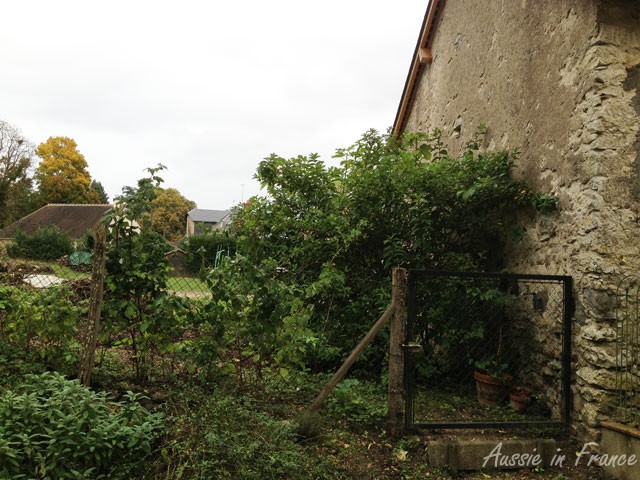 The vegetable patch on the right of the barn