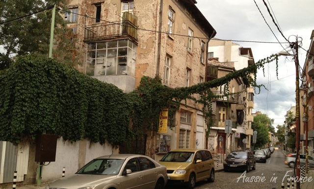 Vegetation-covered wiring in our neighbourhood