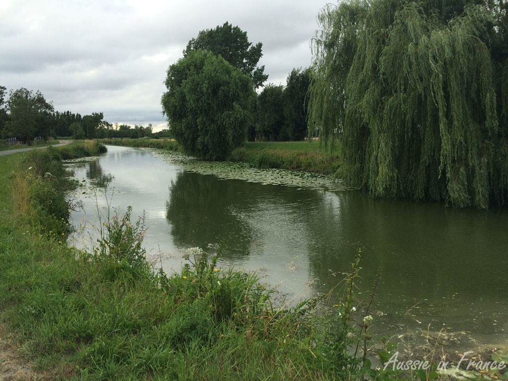 On the wrong side of the canal with its waterlillies