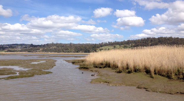 wetlands