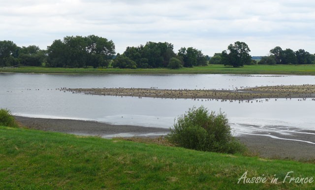 The view from the bird observatory