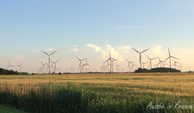 A field of wind turbines