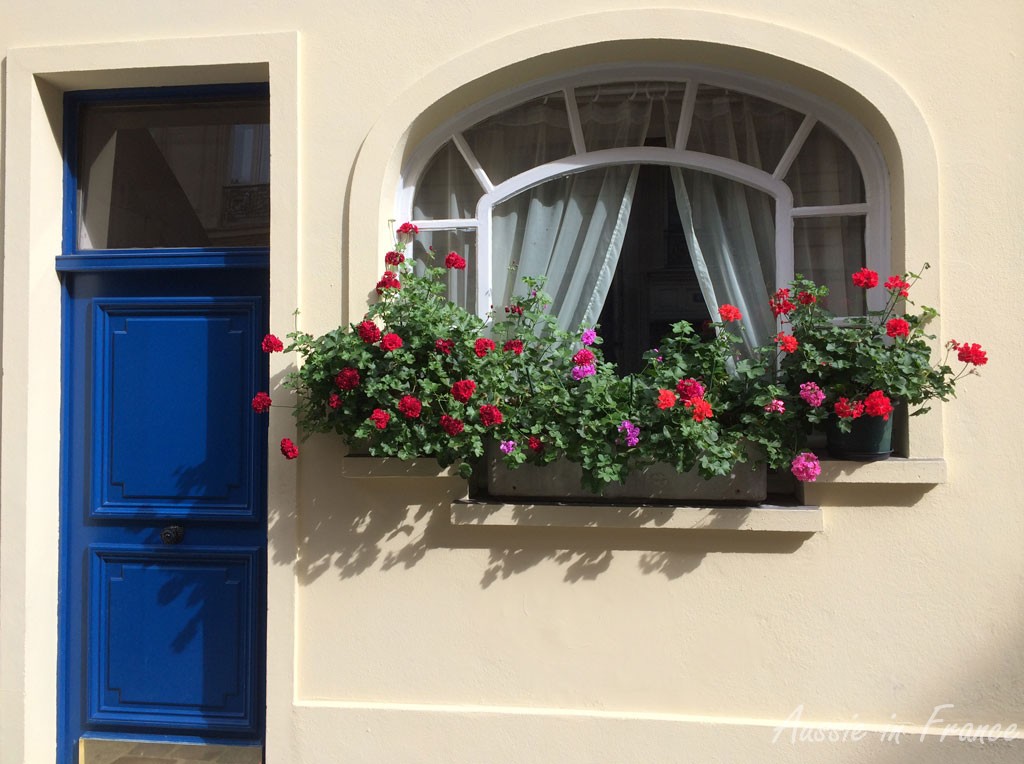 Window box in rue Saint Denis