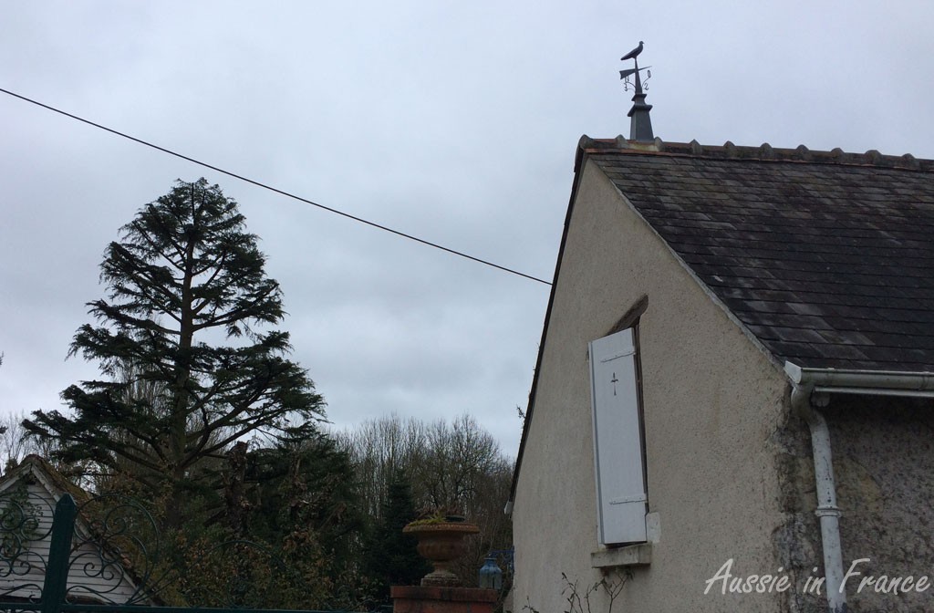 A windvane on my walk