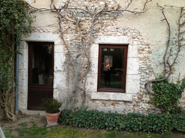 The wisteria and vine after pruning