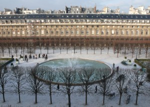 wolves in palais royal2