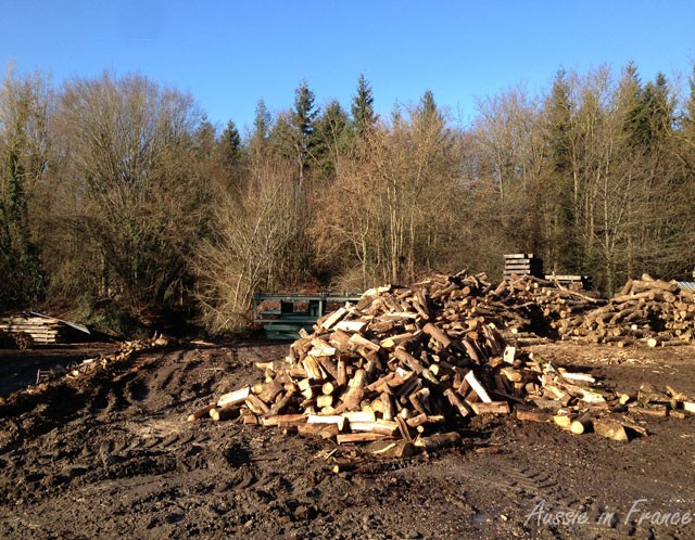 The pile of wood we are to help ourselves to