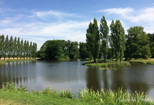 Wörlitz artificial lake